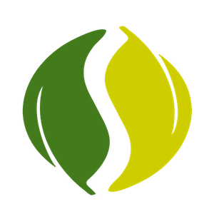 @erpragatisingh-Spring-Java