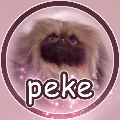 @peke-the-epic-dog