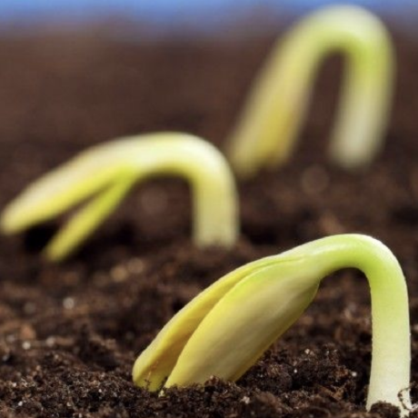 @open-agriculture-foundation