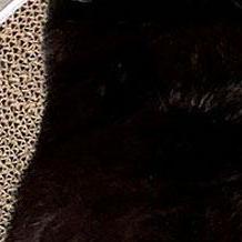 @lllIlIlIlIlIlIlIlIlIlIlIlIlIlIlIlIlIlll