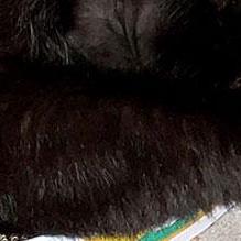 @llllllllllllIIIIIIIIIIIIlllllllllllllll