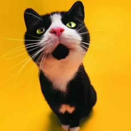 @machh